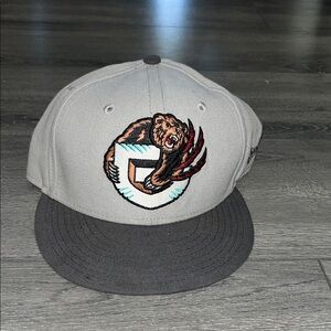 Gray and Black Grizzlies fitted